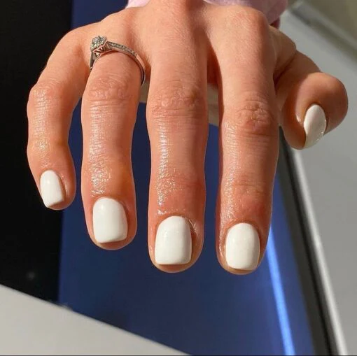 DC Gel Duo 161 - White Fur - Image 4