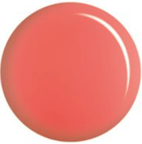 DC Gel Duo 178 - Hard Tile - Image 2