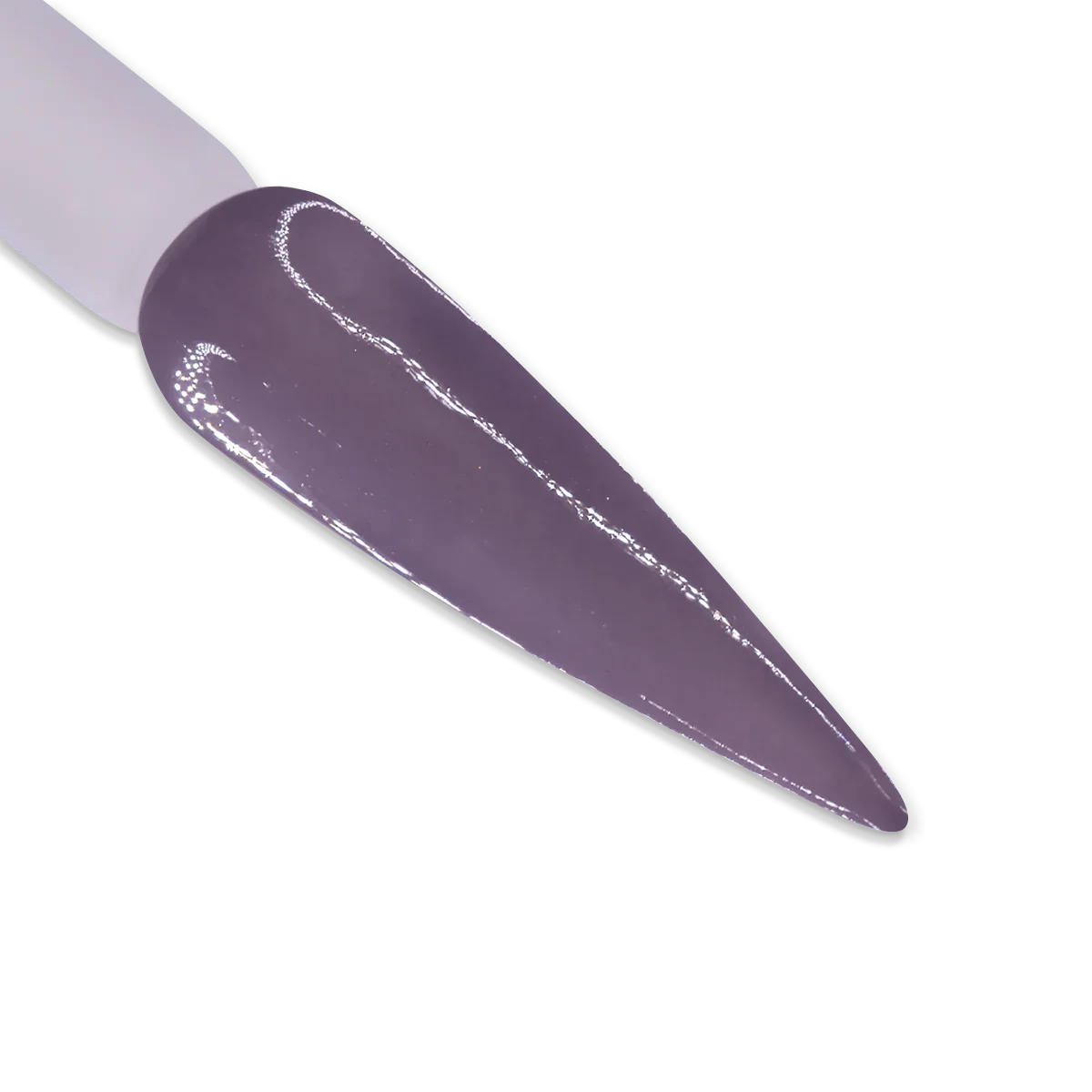 iGel Gel Duo - DD079 Warm Chinchilla - Image 2