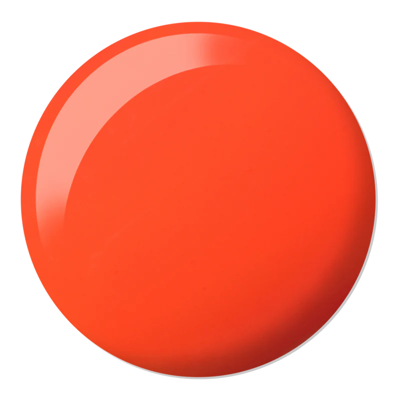 DC Gel Duo 2542 - Untamed - Image 2