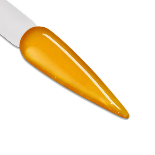 iGel LB Jelly Gel - JG06 Champagne - Image 2