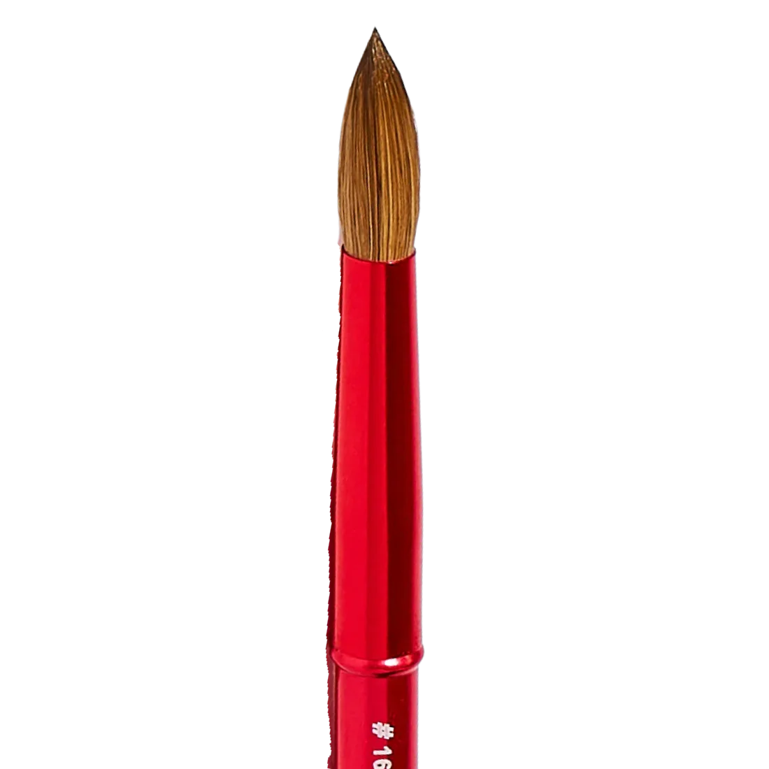 Not Polish Kolinsky Acrylic Brush - Image 6